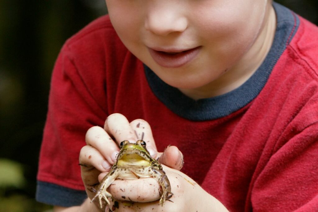 Frog Handling and Interaction