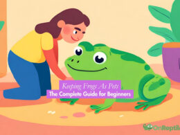 Keeping Frogs As Pets